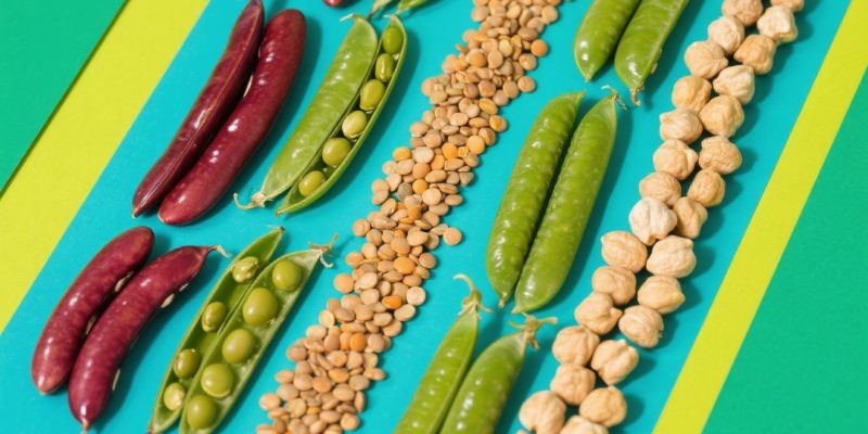 {"aigc_info":{"aigc_label_type":0,"source_info":"dreamina"},"data":{"os":"web","product":"dreamina","exportType":"generation","pictureId":"0"},"trace_info":{"originItemId":"7562544726998633733"}}