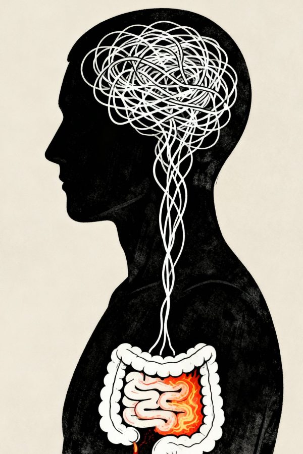 {"aigc_info":{"aigc_label_type":0,"source_info":"dreamina"},"data":{"os":"web","product":"dreamina","exportType":"generation","pictureId":"0"},"trace_info":{"originItemId":"7604344911420312840"}}