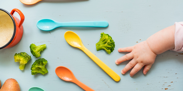 FOTO ARTIKEL WEBSITE (36)