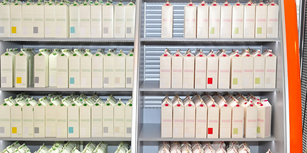 FOTO ARTIKEL WEBSITE (56)