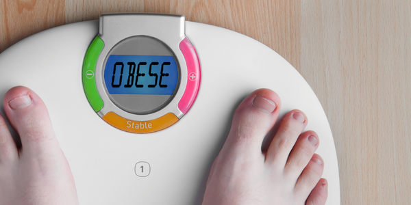 FOTO ARTIKEL WEBSITE (9)