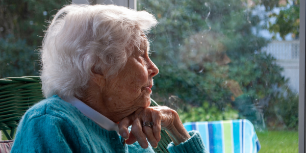 FOTO ARTIKEL WEBSITE-2