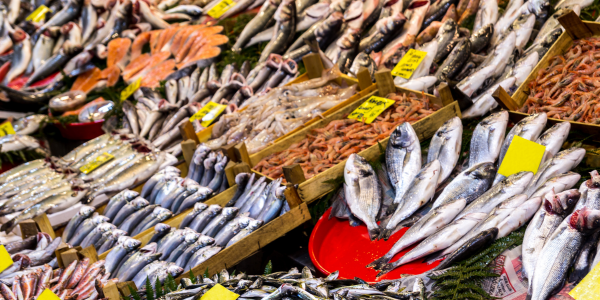 FOTO ARTIKEL WEBSITE-7