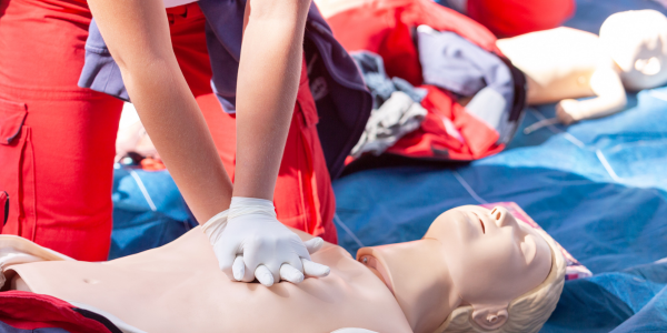 FOTO ARTIKEL WEBSITE-12