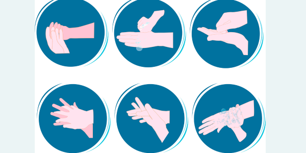 FOTO ARTIKEL WEBSITE-19