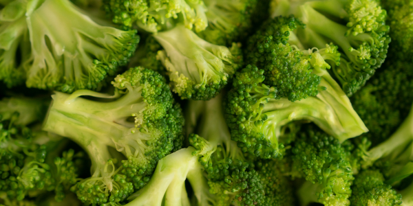 FOTO ARTIKEL WEBSITE-12