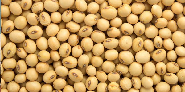 FOTO ARTIKEL WEBSITE-22