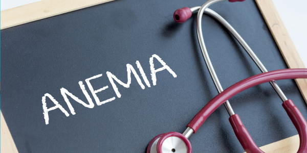 FOTO ARTIKEL WEBSITE-95